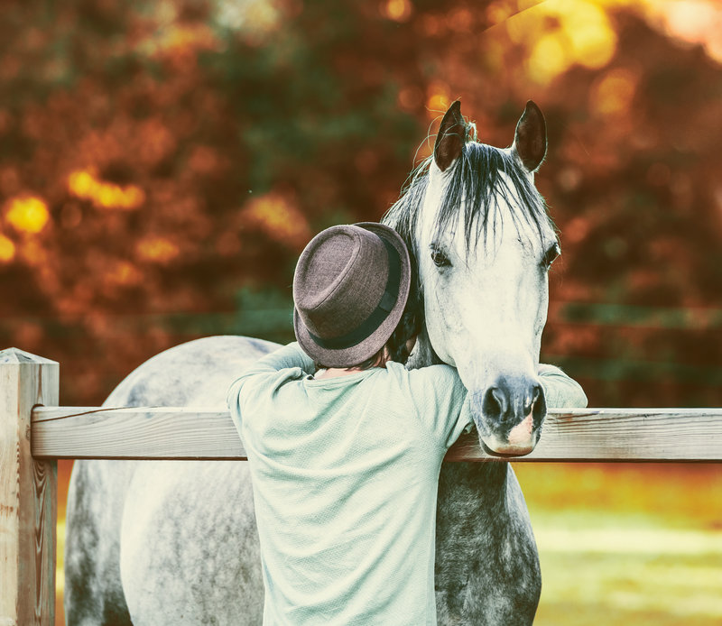 Person hugging horse