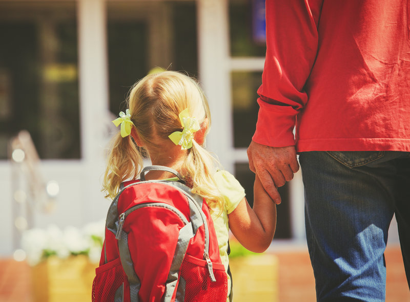 Daughter holding hands with dad