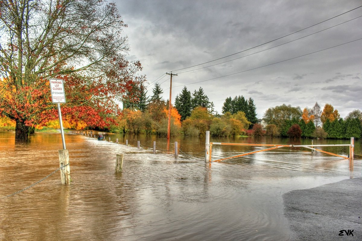 Media Name: flood-63832_1280.jpg