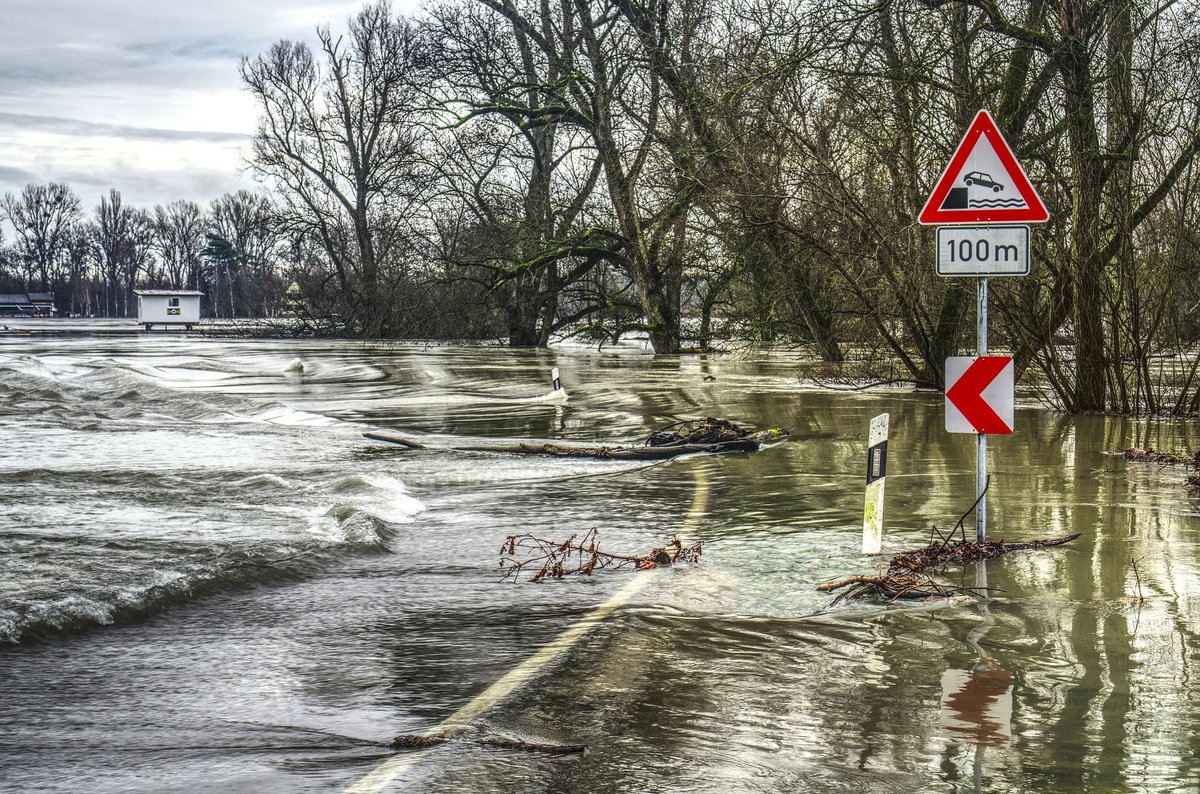 Media Name: flooded-road-trees.jpg